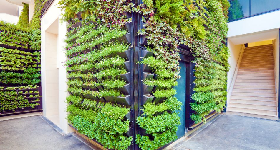 Urban Vertical Gardens Turn Spaces into Beautiful Spots