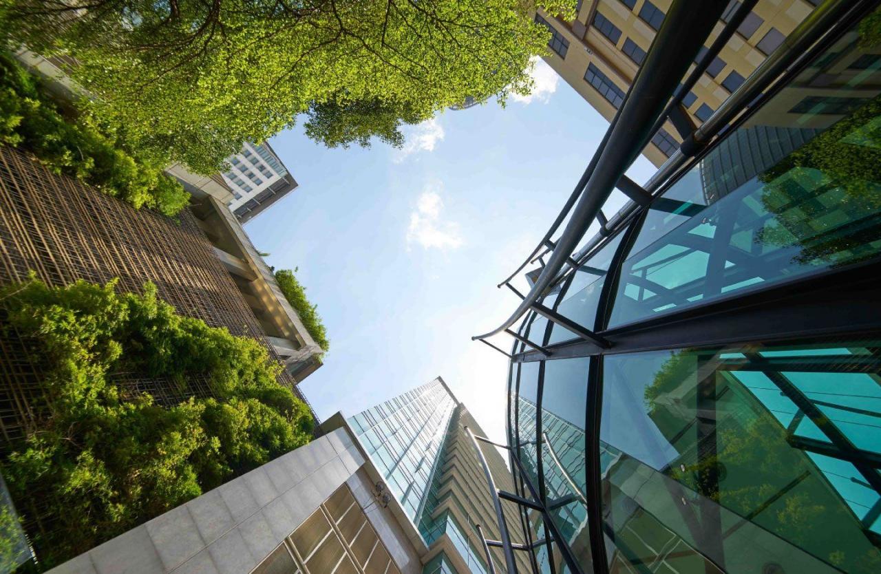 Net-Zero Building Innovations Promise A Sustainable Future