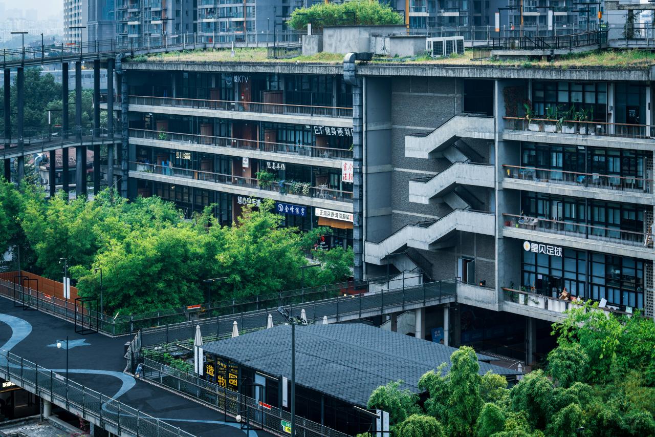 Modern building with green rooftop and bamboo plants