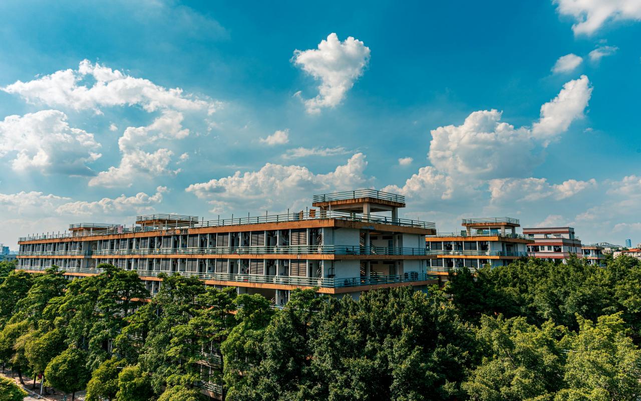 Unfinished buildings surrounded by lush green trees and sky.