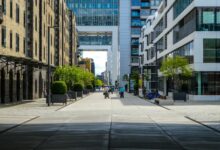 Modern buildings line a sunlit city street with trees.