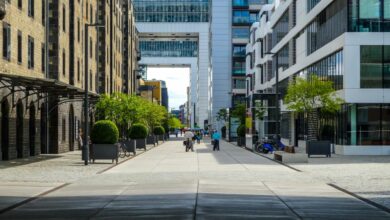 Modern buildings line a sunlit city street with trees.