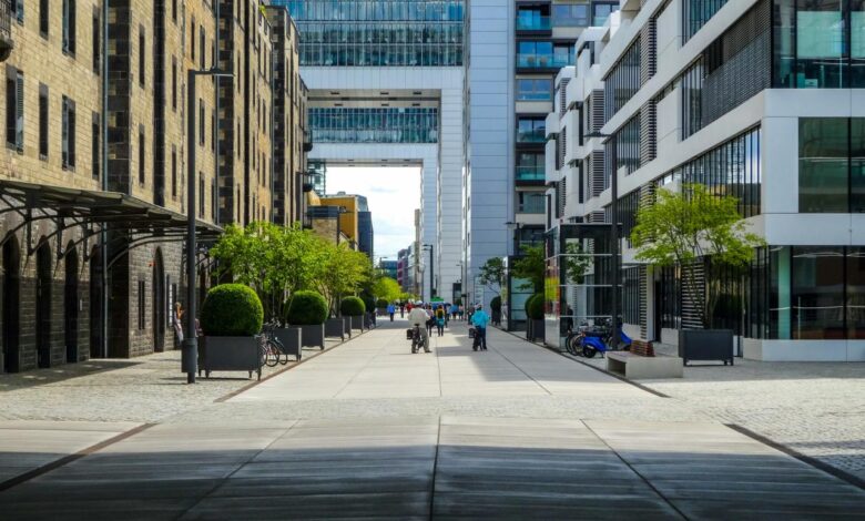 Modern buildings line a sunlit city street with trees.