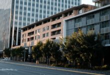 Modern buildings with trees in front on a street.