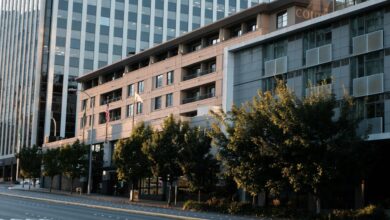 Modern buildings with trees in front on a street.